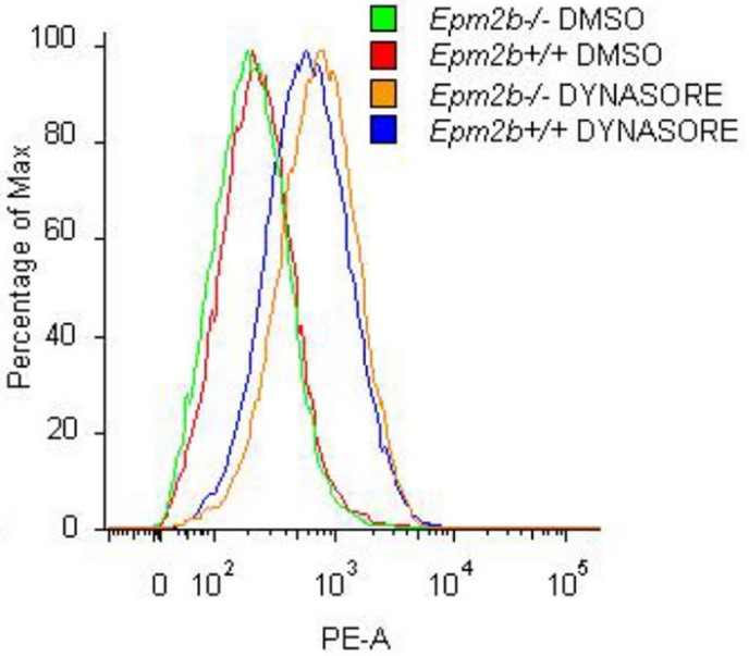 Analysis of the levels of GLT-1 at the plasma membrane by flow cytometry.jpg